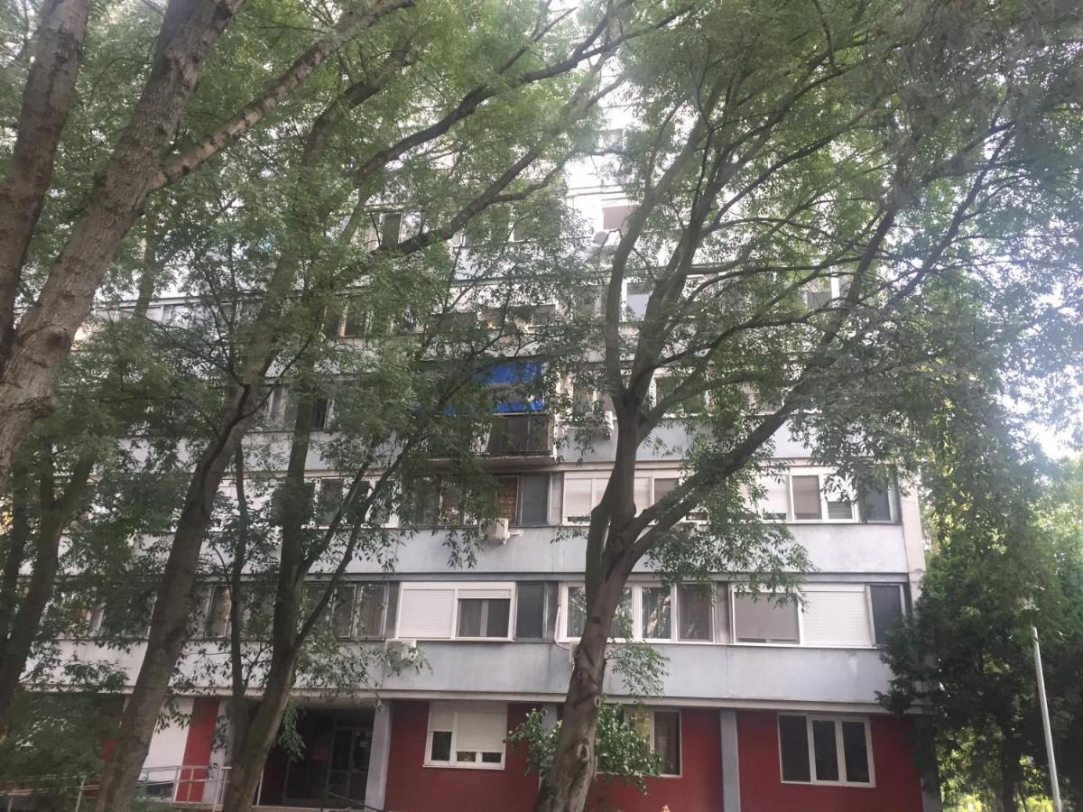 Apartment Ljiljana Belgrado Buitenkant foto